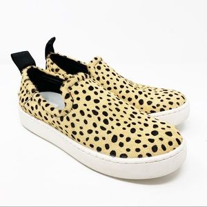 Dolce Vita Tag Fashion Sneaker Leopard 7.5